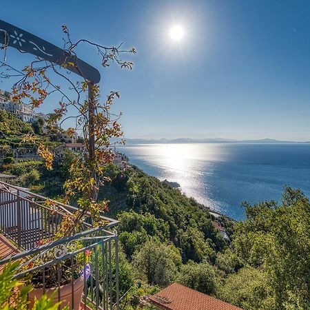 Villa Pino Фуроре Экстерьер фото
