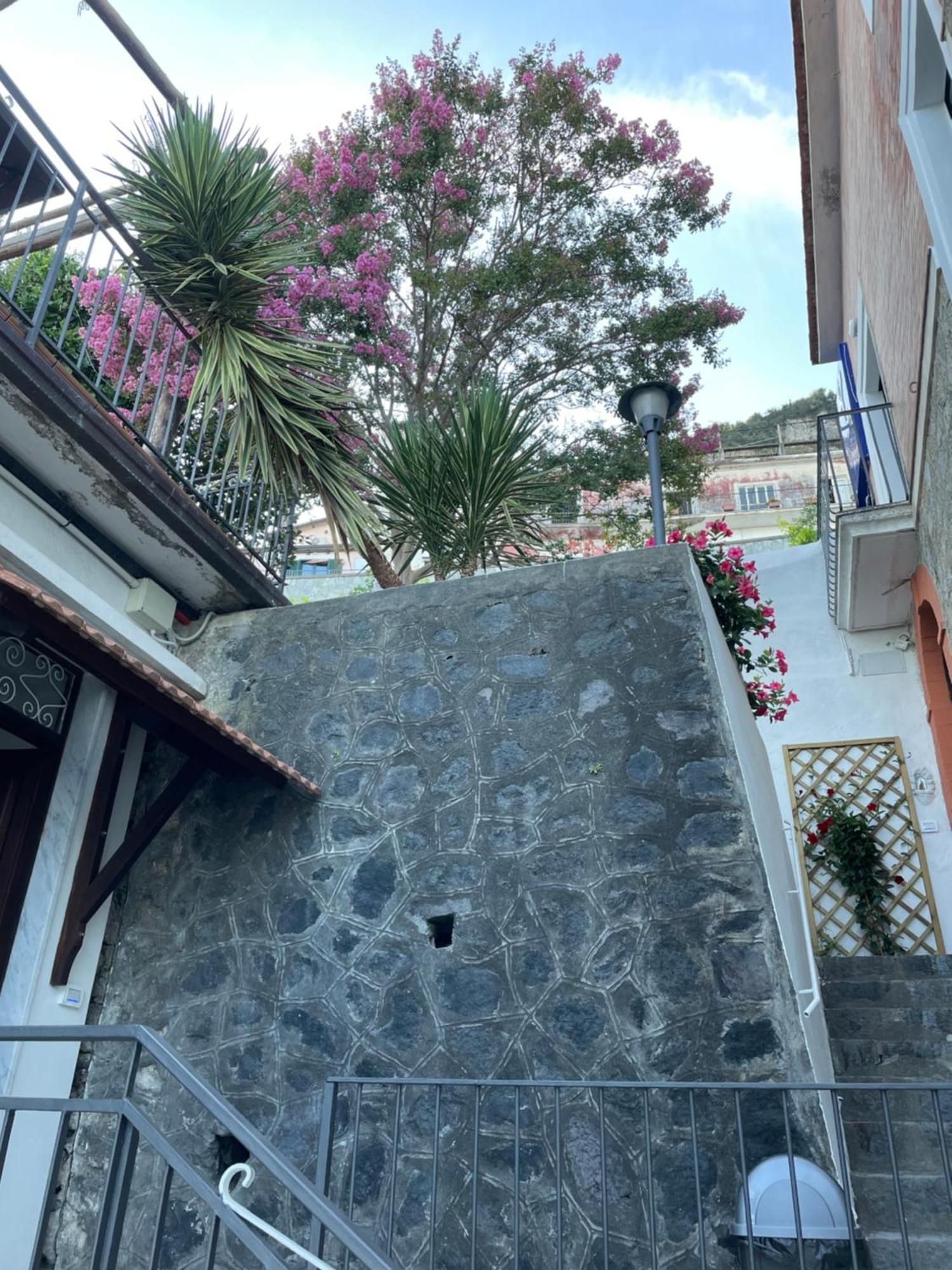 Villa Pino Фуроре Экстерьер фото